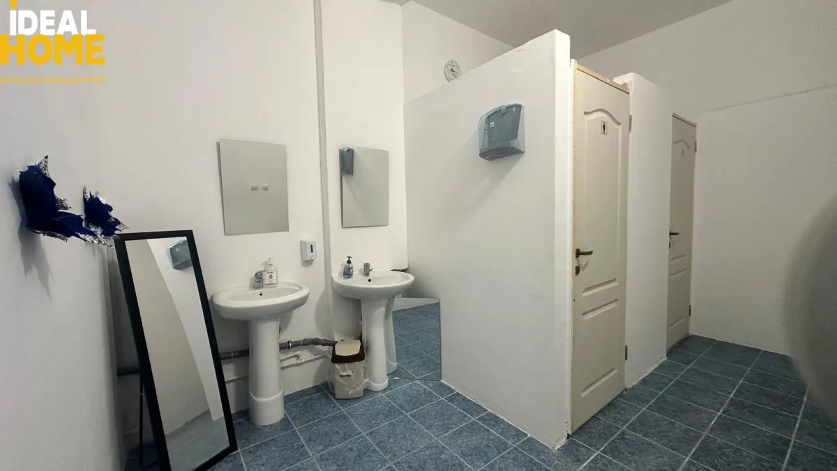 Spațiu 500 mp | DN28 Tomești | vizibilitate excelentă | ideal clinică / showroom / sediu firmă - foto 9