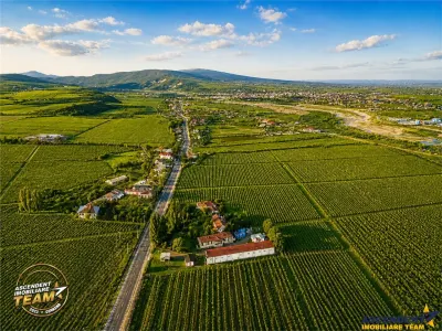 FILM! Domeniu de 4.000 mp intravilan+ casa autentica, in podgoriile Odobesti,Vrancea - foto 2