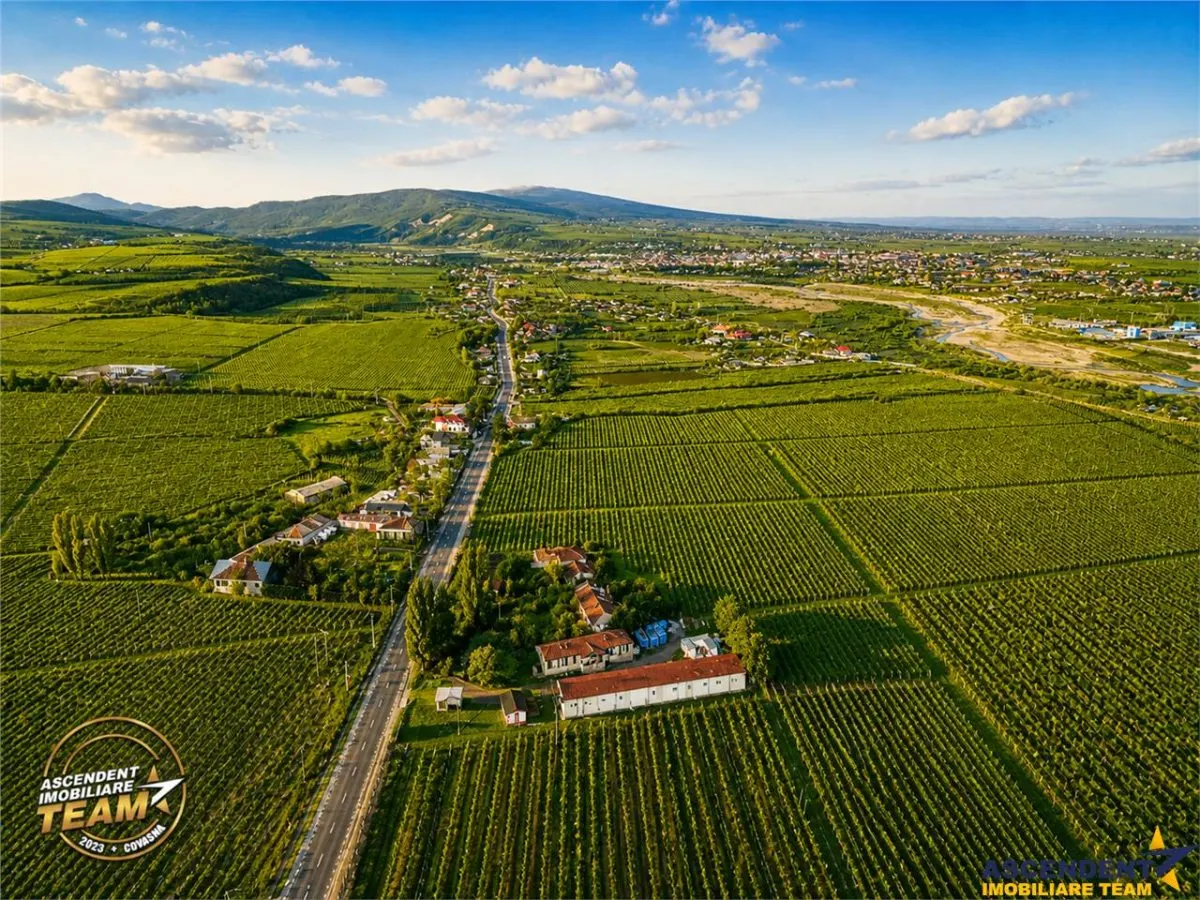 FILM! Domeniu de 4.000 mp intravilan+ casa autentica, in podgoriile Odobesti,Vrancea - foto 2