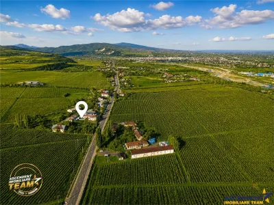 Proprietate unica in zona viticola Odobesti, Vrancea, casa boiereasca cu 4.000 mp de teren intravilan - foto 2
