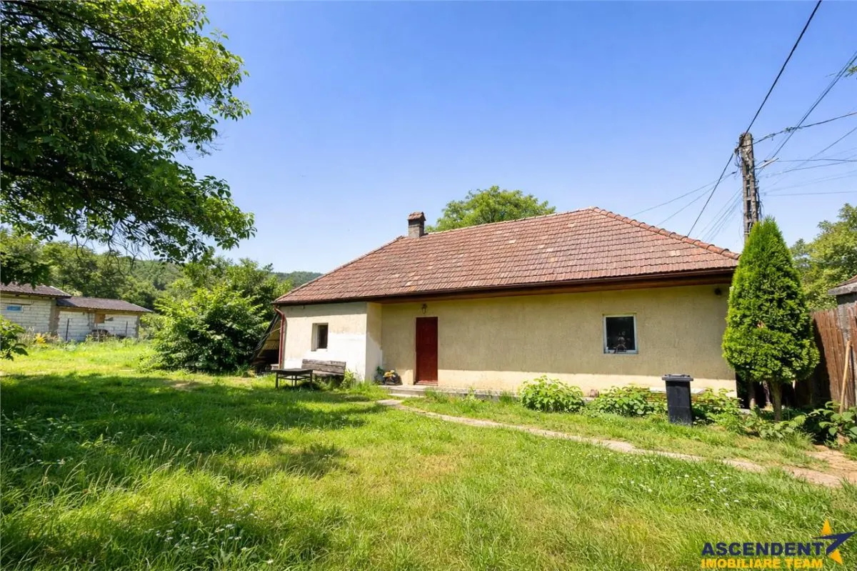FILM &Tur 3D! Casa cu gradina, pomi fructiferi, fantana, Zagon, Covasna - foto 1
