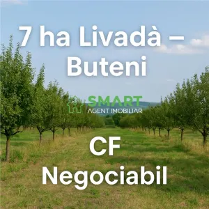 Teren 7 ha. livada Buteni, Jud. Arad CF, acces drum. - Buteni