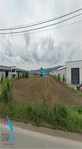 Letea Veche - Zona industriala - Teren 14.000mp! - Bacau