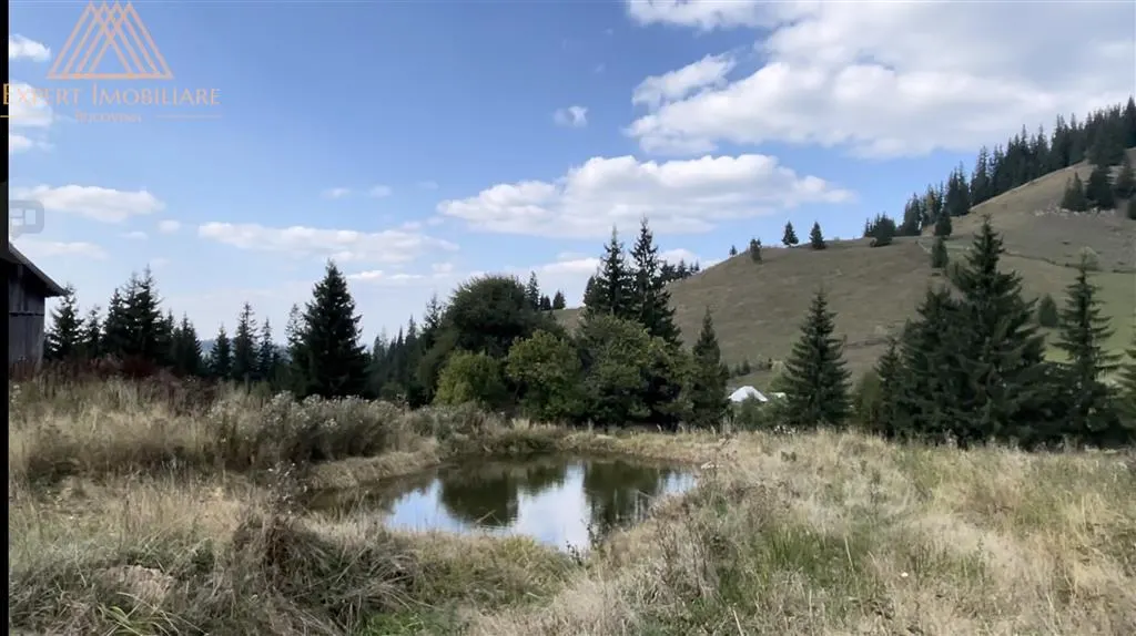 3 Hectare teren in varf de munte  si 2 cabane pe traseul Via Transilvanica - foto 1