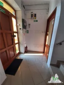 Tineretului-vila individuala aproape  de metrou si parc --pozitie excelenta - foto 19