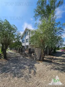 Vila superba, cu piscina, 970mp teren, D+P+E+M, gradina amenajata+pomi fructiferi cu toate utilitatile in Clinceni judet Ilfov - foto 8