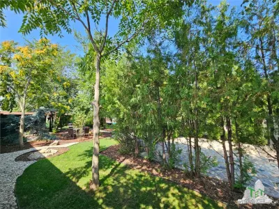 Vila superba, cu piscina, 970mp teren, D+P+E+M, gradina amenajata+pomi fructiferi cu toate utilitatile in Clinceni judet Ilfov - foto 9