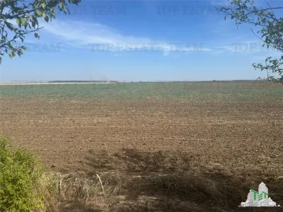 Vanzare teren intravilan construibil, Branesti-Ilfov, 5100 mp, ideal rezidenta sau investitie - foto 2