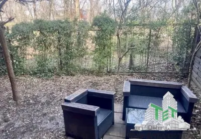 Vila cu 7 camere de închiriat în Floreasca - foto 2