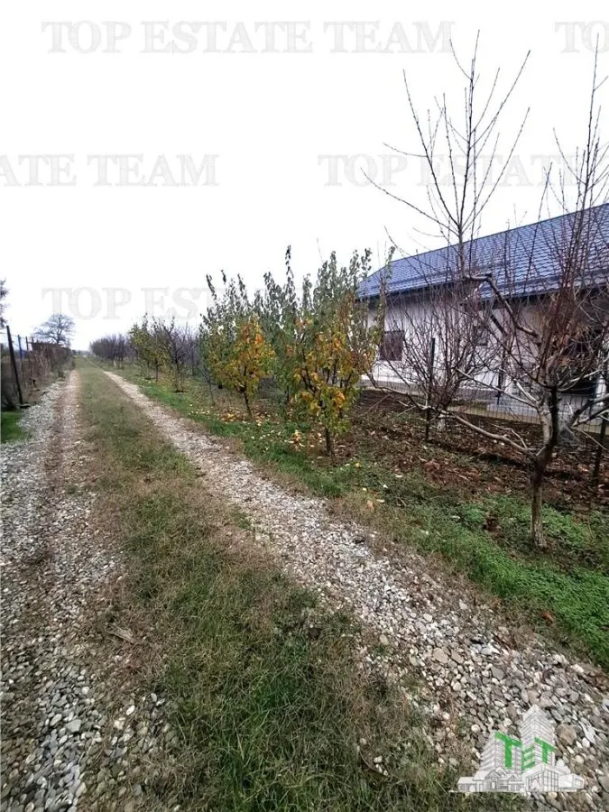 Teren Intravilan Moara Vlasiei 963 mp, Zona Superba, - foto 4