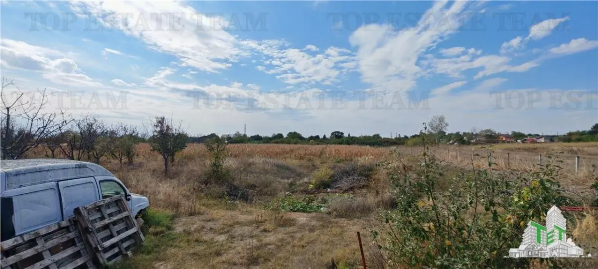 Ferma 3,3ha, din care 2,5ha intravilan, vila 7 camere, D+P+E+M, casa pentru muncitori, grajd animale, livada, culturi porumb si grau, PODISOR/GIURGIU - foto 11