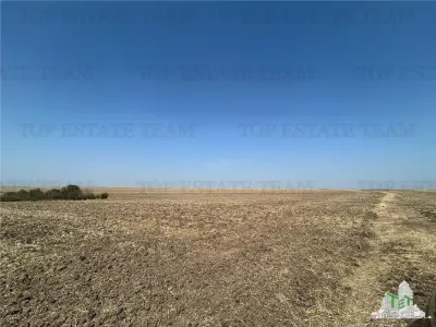 Simnicu de sus_langa Craiova/ Teren extravilan, arabil/ Suprafata de 4200mp - Simnicu de Sus