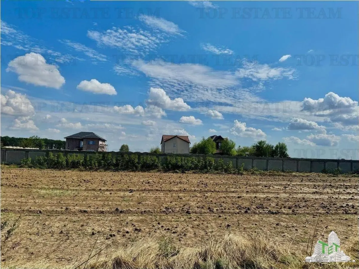 Teren de vanzare lotizat la padure cu utilitati in Frumusani / Calarasi - foto 1