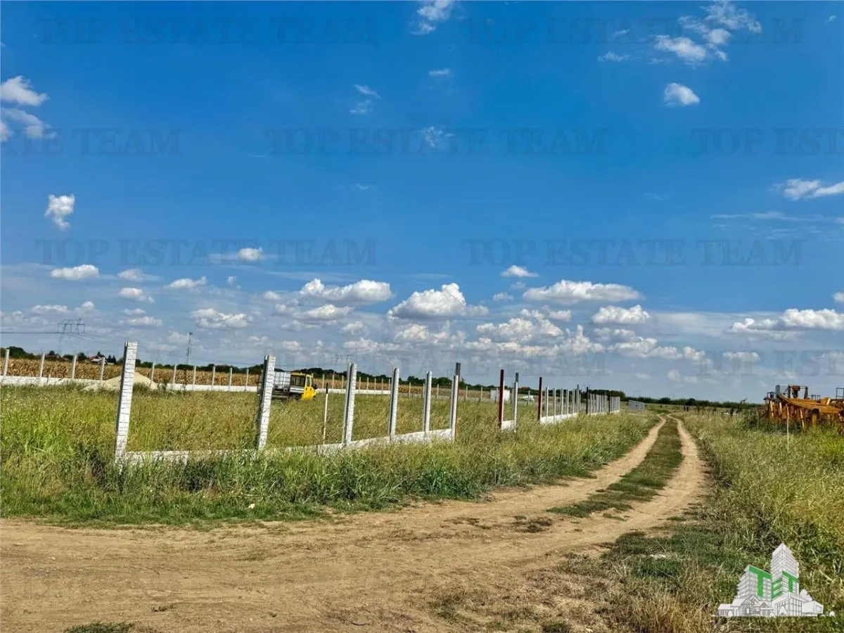 Teren 64 de parcele de vanzare /  Teren de investitie / Frumusani / Calarasi - foto 1