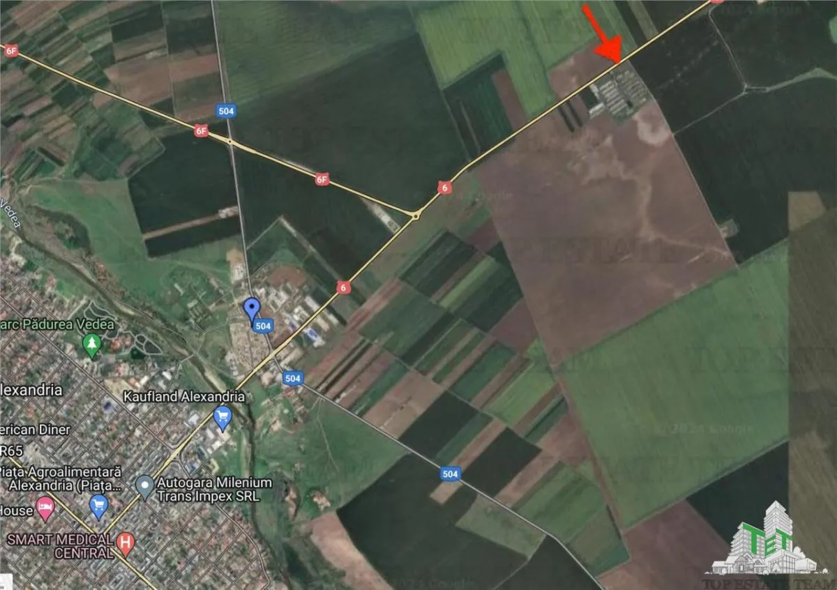 Teren intravilan constructii 4ha cu deschidere la drum european - foto 3