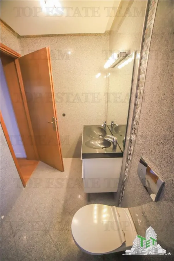 Vila pretabila rezidenta/office Iancu Nicolae - foto 18