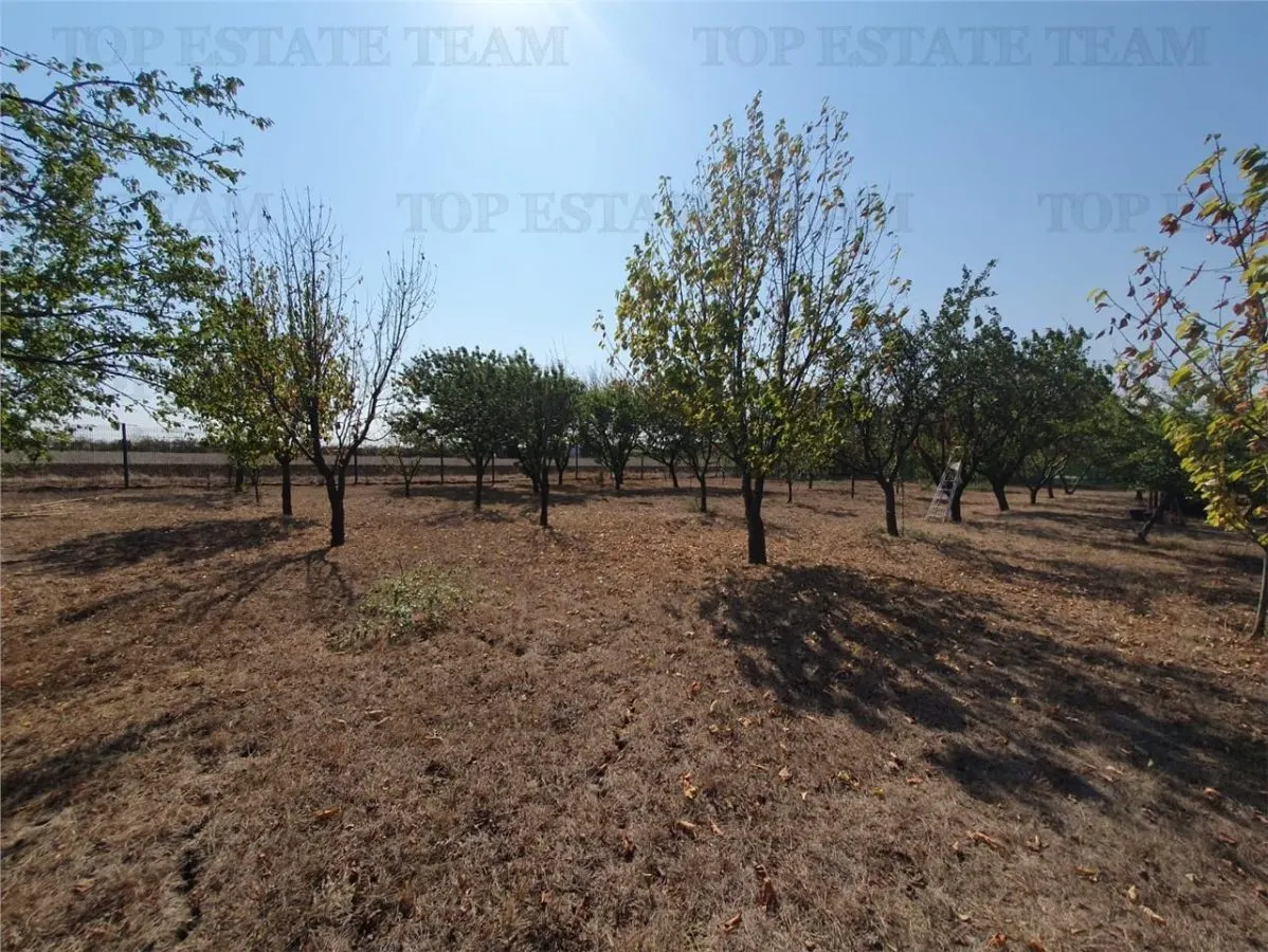 Teren intravilan agricol si teren curti constructii Lot 2 Parcela A326/49 - foto 2
