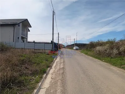 Ocazie! Visan str Castanul Unirii TEREN 2013mp cu dubla deschidere toate utilitatile zonei - foto 7