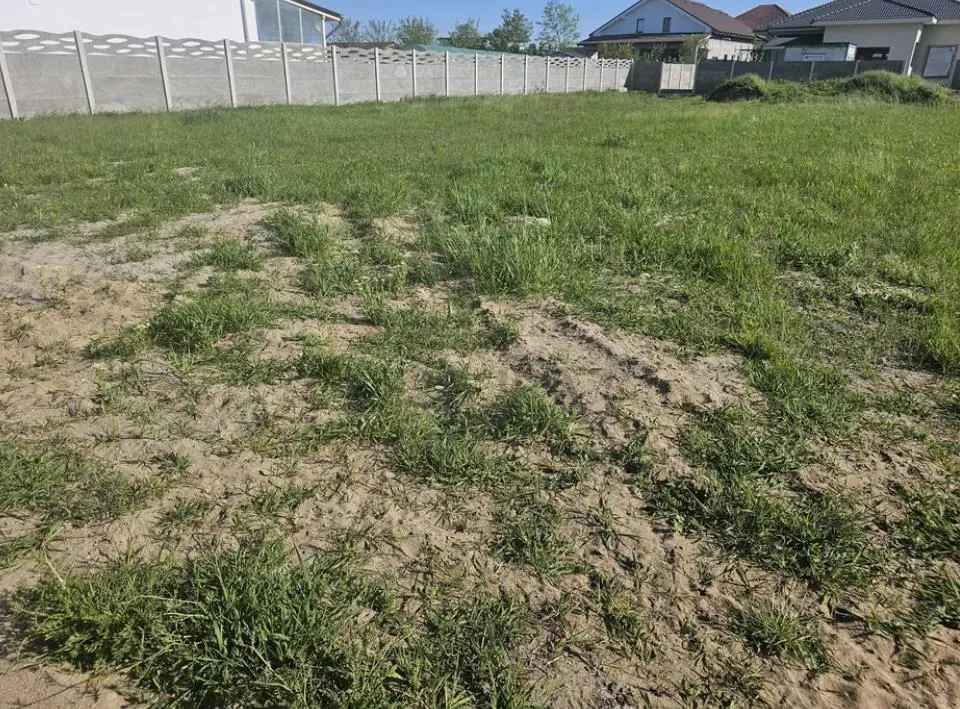 Teren-MOSNITA VECHE -TOATE UTILITATILE - foto 2