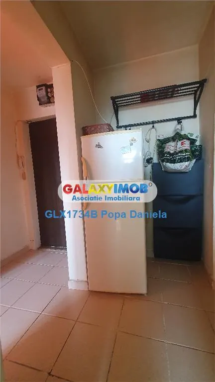 Apartament 2 camere decomandat, N.Racota - Herastrau - foto 12