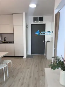 inchiriere  apartament 2 camere gradina Baneasa Greenfiled Residence - foto 8