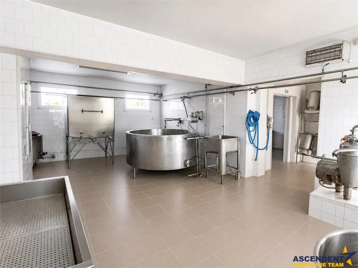 Fabrica de produse lactate+ birouri + 1.300mp teren, Ilieni, Covasna - foto 13