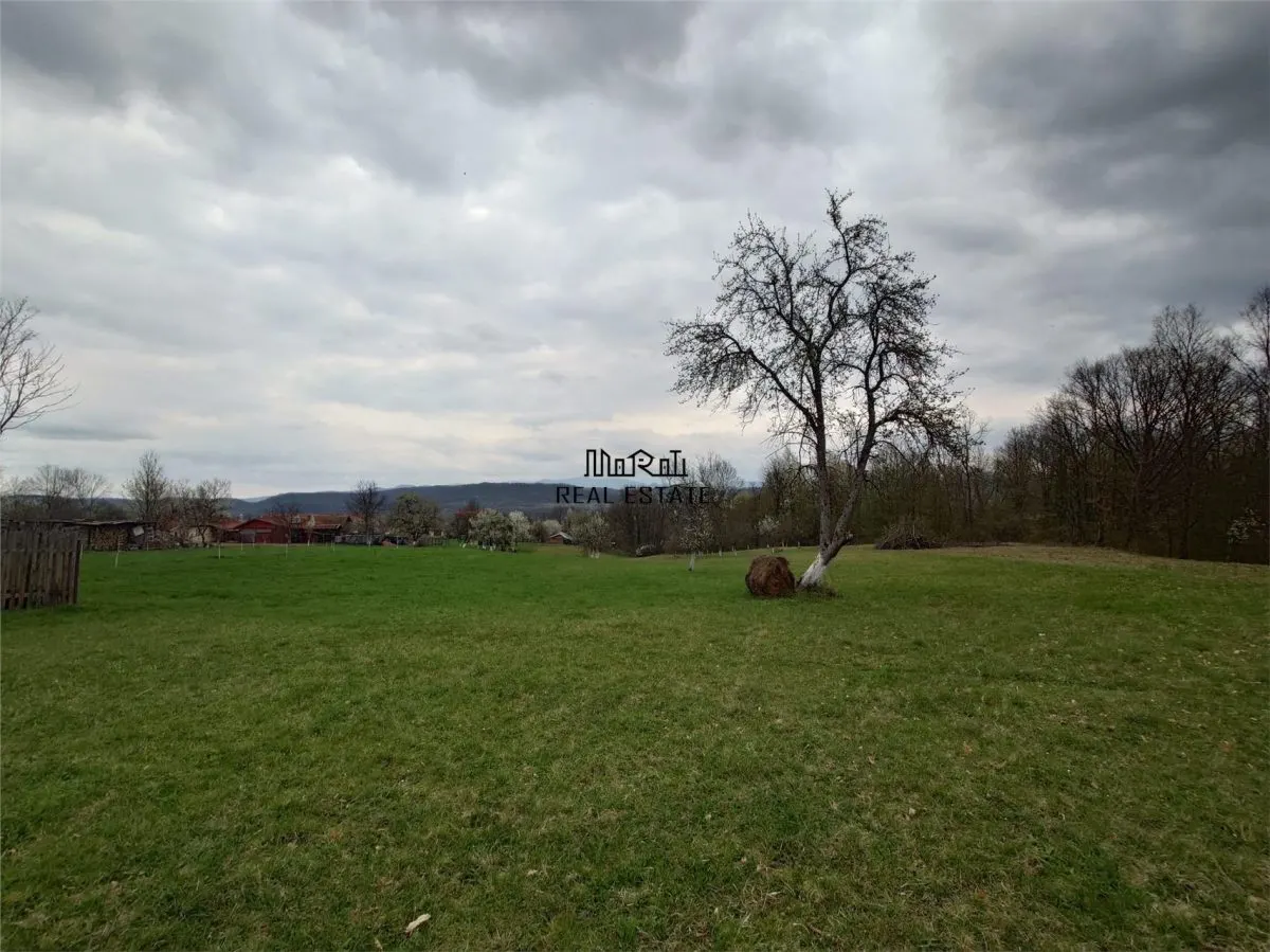 1 hectar teren intravilan cu priveliste - foto 12