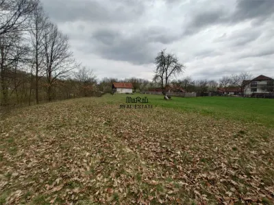 1 hectar teren intravilan cu priveliste - foto 14