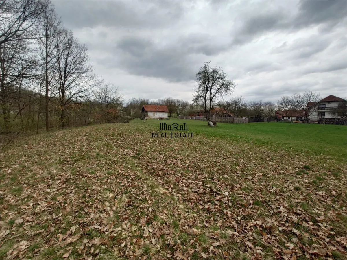 1 hectar teren intravilan cu priveliste - foto 14