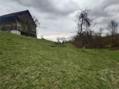 1 hectar teren intravilan cu priveliste - foto 15