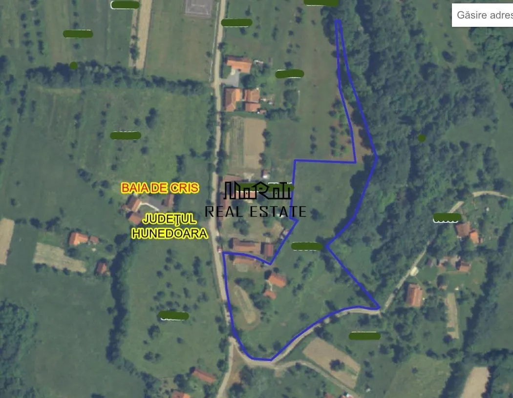 1 hectar teren intravilan cu priveliste - foto 20