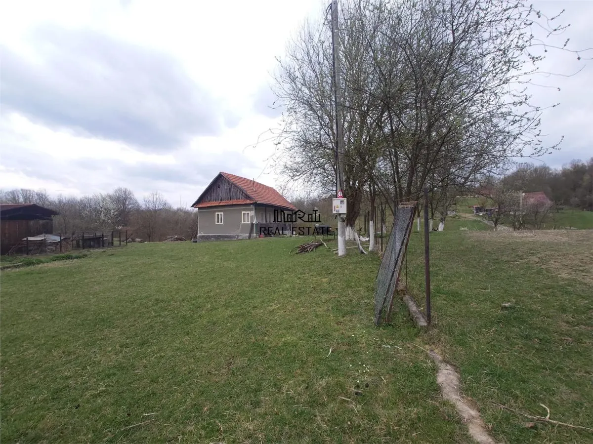 1 hectar teren intravilan cu priveliste - foto 8