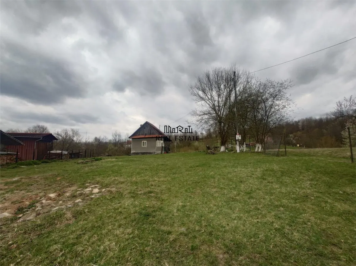 1 hectar teren intravilan cu priveliste - foto 9