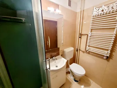 Apartament 1 Camera, Girocului, Centrala, Clima - foto 8