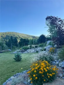 RECO Casa de vacanta Varciorog langa padure - foto 9