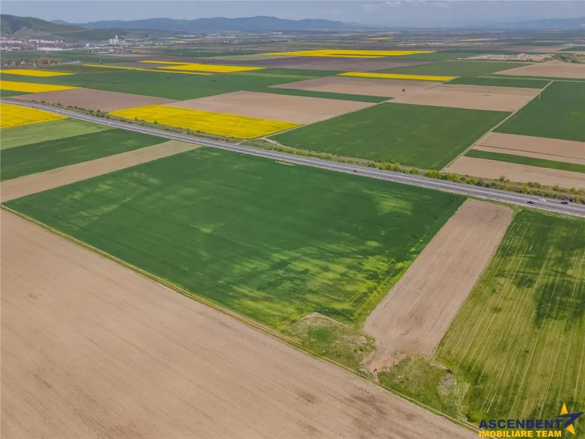 Oportunitate investitie! Teren 47.577 mp, Codlea .-. Ghimbav, pozitie excelenta la DN 11 - foto 2