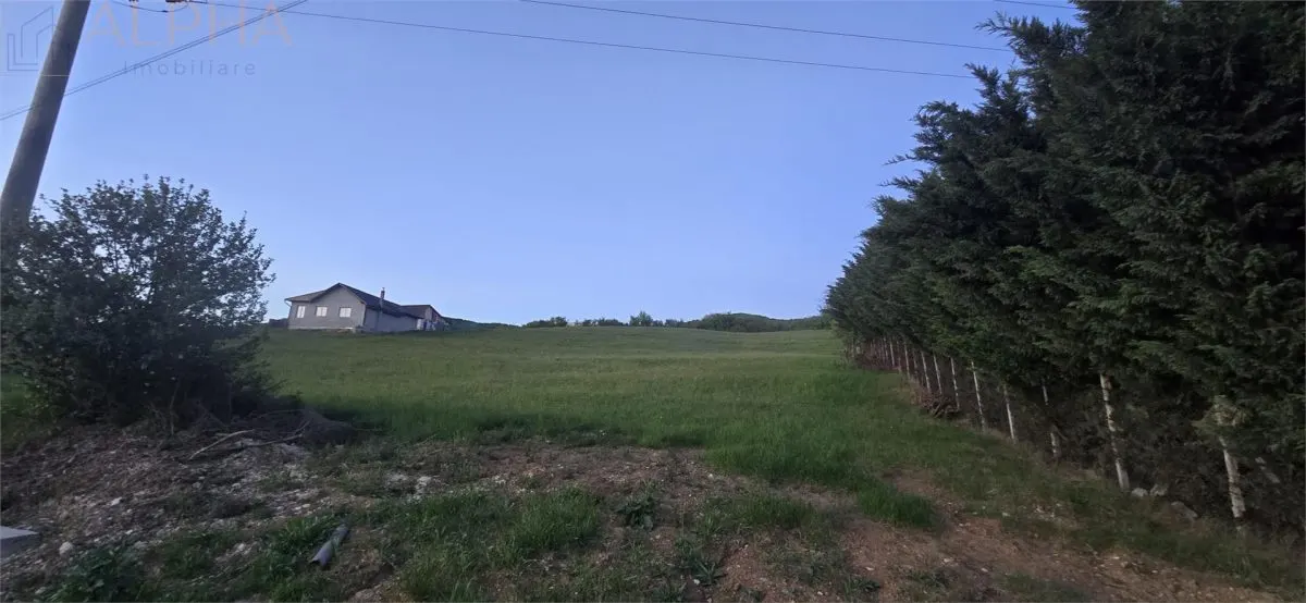 Teren intravilan de vanzare â€“ 50 ari â€“ Crainimat â€“ deschidere 50 ml la DN17 - foto 2