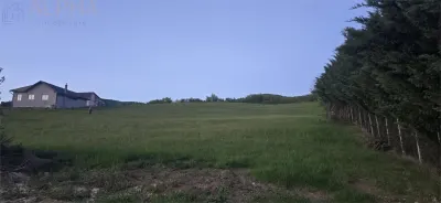 Teren intravilan de vanzare â€“ 50 ari â€“ Crainimat â€“ deschidere 50 ml la DN17 - foto 4