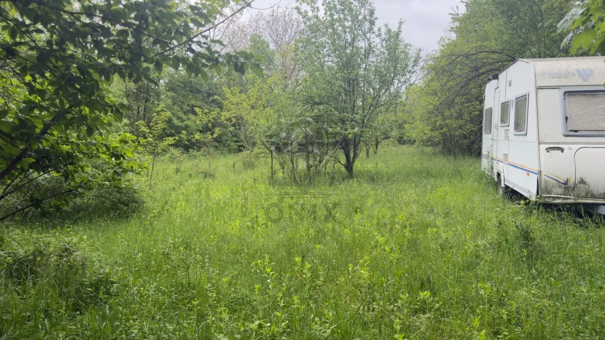 Teren Intravilan de Vânzare Cornu, Prahova | 50 â‚¬/mp - foto 1