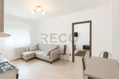 RECO Apartament parter 2 camere Nufarul - foto 2