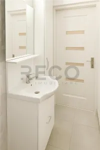 RECO Apartament 2 camere, etaj 1, Nufarul - foto 8