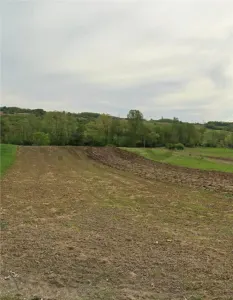 RECO Teren extravilan in Dragesti spre Stracos 6552mp - Dragesti