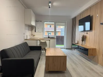 Apartament 2 cam | open space | Sanpetru Brasov - foto 4
