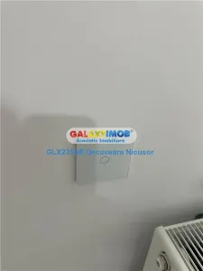 Casa mobilata comuna Joita str.Calea Bucuresti 105.000 Euro - foto 10