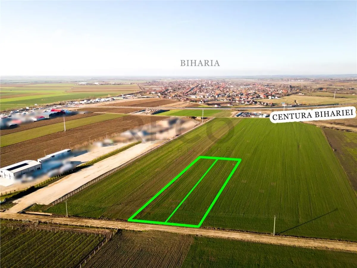 RECO Teren extravilan in Biharia 5500 mp zona intravilana - foto 7