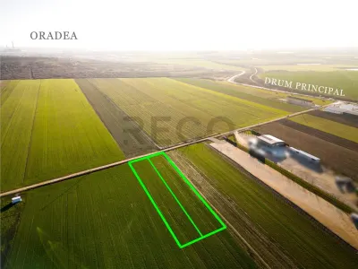 RECO Teren extravilan in Biharia 5500 mp zona intravilana - foto 8