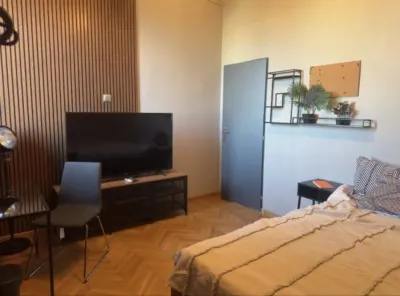 Apartament 2 camereÂ  | IZona Ateneu | Zona Ultracentrala Sector 1 - foto 7
