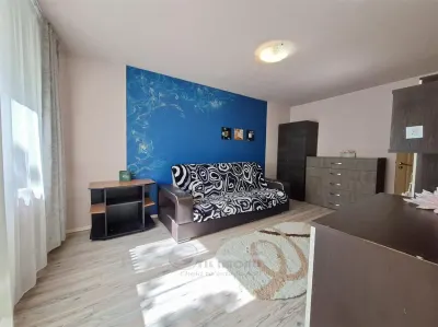 Apartament 2 camere, mobilat si utilat, interesctia Podu de Fier - foto 6