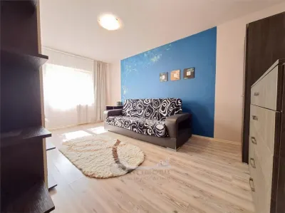 Apartament 2 camere, mobilat si utilat, interesctia Podu de Fier - foto 7