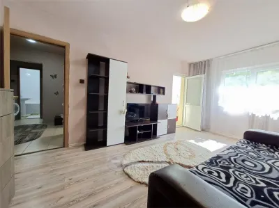 Apartament 2 camere, mobilat si utilat, interesctia Podu de Fier - foto 8